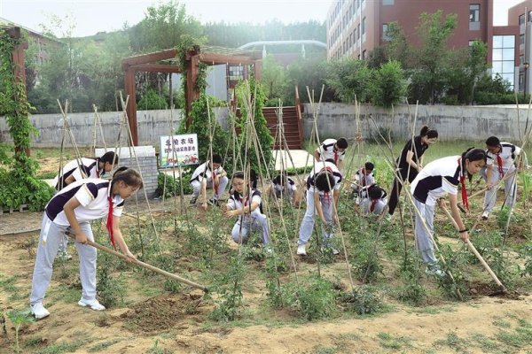 配资之家门户网站 在浸润式教育中成长